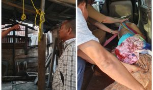 10fc6309-a9e0-40d4-8e7e-d001d76c4982