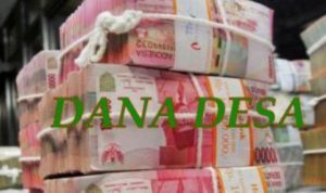 Puluhan Juta Dana Desa Cinta Damai Pindah Ke Desa Pematang Lalang, Ada Apa ?