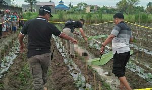 Warga Digegerkan Penemuan Sosok Mayat Wanita Tanpa Busana Dikebun Timun