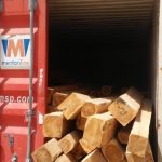 Masyarakat Adat dan Transmigrasi Kecewa Terhadap BLH Atas penahanan Kayu Jati di Wilayah Otoritas Pelabuhan Namlea