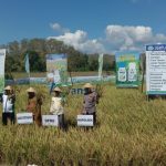 PT. Advansia Indotani Gelar Pasar Teknologi di Kabupaten Buru