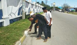 Tabrak Trotoar, Pengendara sepeda motor CBR Tewas di Tempat