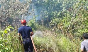 FB_IMG_1577020425180