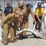 Pemkab kabupaten Kolaka utara Peringati hari Nusantara 2019