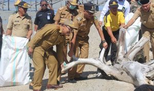 Pemkab kabupaten Kolaka utara Peringati hari Nusantara 2019