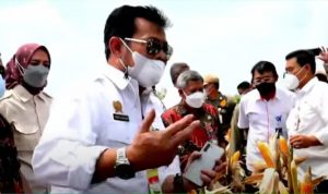 243454613_1926003374239582_9156955218774284505_n