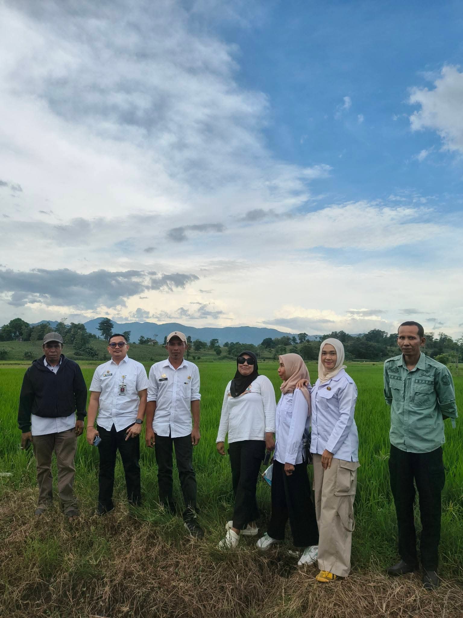 Pastikan Pendampingan Maksimal, PPL dan Distan Jeneponto Pantau LTT Padi MT II di Bangkala Barat
NASIONALINFO.COM – JENEPONTO | Dalam upaya memastikan Luas Tambah Tanam (LTT) padi pada Musim Tanam (MT) II berjalan optimal, Dinas Pertanian Kabupaten Jeneponto bersama Penyuluh Pertanian Lapangan (PPL) melaksanakan kegiatan monitoring di Desa Barana, Kecamatan Bangkala Barat.
Kegiatan ini dipimpin langsung oleh Kepala Bidang Tanaman Pangan Dinas Pertanian Kabupaten Jeneponto, Irfan. M., SE, dan turut didampingi oleh Koordinator Penyuluh Pertanian Kecamatan Bangkala Barat, Yusril Akbar, SP., M.Si, bersama jajaran PPL setempat.
Monitoring dilakukan dengan turun langsung ke sejumlah lahan milik petani untuk melihat kondisi pertumbuhan tanaman padi sekaligus memastikan capaian LTT sesuai target yang telah ditetapkan. Selain itu, kegiatan ini juga bertujuan mengidentifikasi berbagai kendala yang dihadapi petani di lapangan, khususnya terkait ketersediaan air di tengah mulai dirasakannya musim kemarau.
Kepala Bidang Tanaman Pangan, Irfan. M., SE, menegaskan bahwa pendampingan intensif dari PPL menjadi kunci dalam menjaga produktivitas pertanian, terutama pada MT II yang rawan terhadap tantangan cuaca.
“Melalui monitoring ini, kami ingin memastikan bahwa pendampingan kepada petani berjalan maksimal. LTT harus tetap tercapai, namun kualitas pertumbuhan tanaman juga harus diperhatikan, apalagi dengan potensi kekeringan yang mulai muncul,” ujarnya.
Ia juga menambahkan bahwa sinergi antara pemerintah, penyuluh, dan petani sangat diperlukan guna menjaga stabilitas produksi pangan di daerah.
Sementara itu, Koordinator Penyuluh Pertanian Kecamatan Bangkala Barat, Yusril Akbar, SP., M.Si, menjelaskan bahwa pihaknya terus aktif melakukan pendampingan secara berkelanjutan, mulai dari tahap pengolahan lahan hingga pemeliharaan tanaman.
“Kami bersama PPL rutin turun ke lapangan memberikan edukasi kepada petani, baik terkait teknik budidaya, pengelolaan air, pemupukan berimbang, hingga pengendalian hama dan penyakit tanaman,” jelasnya.
Dari hasil pemantauan di lapangan, kondisi tanaman padi di Desa Barana secara umum menunjukkan pertumbuhan yang cukup baik. Meski demikian, beberapa titik mulai mengalami keterbatasan air, sehingga petani diimbau untuk lebih efisien dalam pengelolaan sumber daya air.
Melalui kegiatan ini, Dinas Pertanian Kabupaten Jeneponto berharap capaian LTT padi pada MT II dapat terus meningkat, sekaligus memperkuat ketahanan pangan daerah dan meningkatkan kesejahteraan petani di Kabupaten Jeneponto.